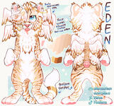 front n back + medium complex custom !